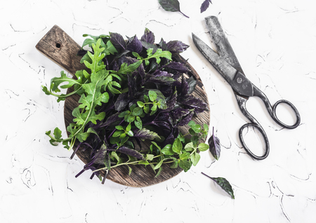 Fresh garden herbs - basil, arugula, thyme on a rustic wooden cutting board and old scissors on a light backgroundの写真素材