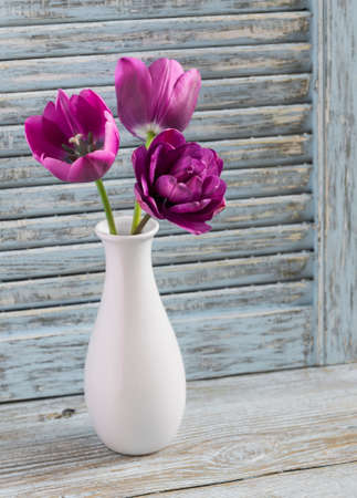 Purple tulips in a white ceramic vase on rustic blue wood backgroundの写真素材