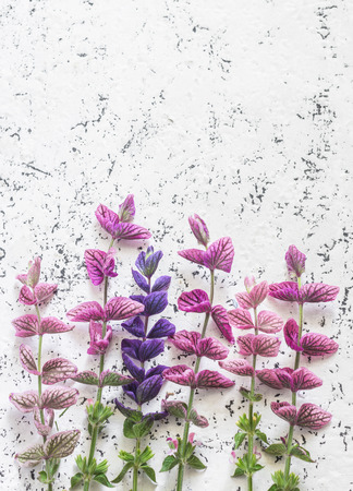 Wild flowers light background. Free space for text, top view. Flat layの写真素材