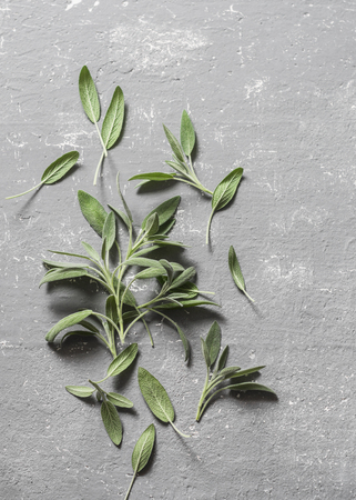 Fresh sage  on grey background, top view. Free space for text, flat layの写真素材