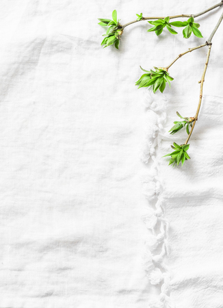 White napkin background with fresh green leaves branches with copy space. Rustic spring frame background composition with free space for text. Top viewの写真素材