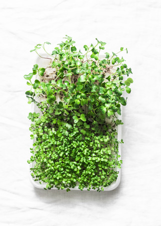Homemade micro greens on a light background, top view. Healthy food lifestyle diet concept. Flat lay, copy spaceの写真素材