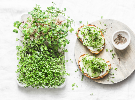 Breakfast, snack, brunch - cream cheese, cucumber, micro greens sandwiches on a light background, top view.Healthy  food conceptの写真素材