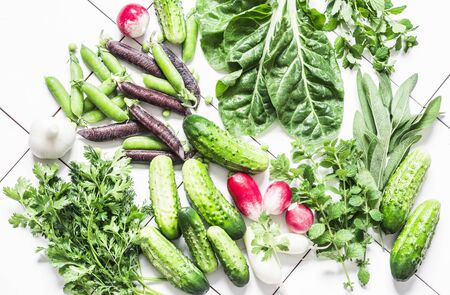 Fresh natural organic products - vegetables, herbs on a light background, top view. Flat lay. Cucumbers, peas, cilantro, mint, sage, radishes, chard - healthy food ingredientsの写真素材