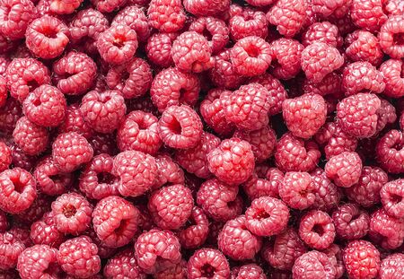 Fresh ripe raspberry food background. Copy space, flat layの写真素材