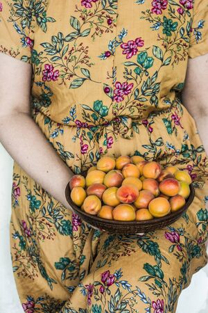 Female hands holding fresh ripe apricots bowl. Retro styleの写真素材