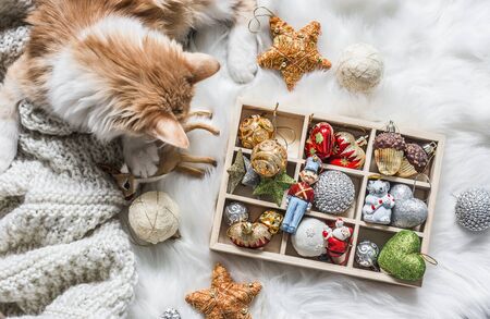 Red kitten and a box of christmas decorations on a fluffy carpet on a light background. Christmas backgroundの写真素材