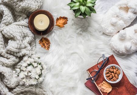 Flat lay cozy home still life - stack of books, knitted plaid, candle, chrysanthemum bouquet, fur carpet, soft slippers, succulent flower on a light background, top view. Copy spaceの写真素材