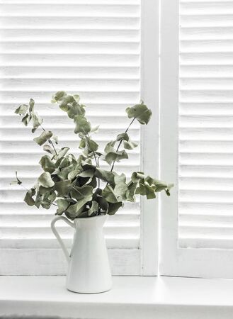 Jug of dried eucalyptus branches on a window with light wooden shutters. Rustic home decoration conceptの写真素材
