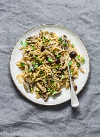 Healthy vegetarian lunch - orzo mushroom paste on a grey background, top view. Copy spaceの写真素材