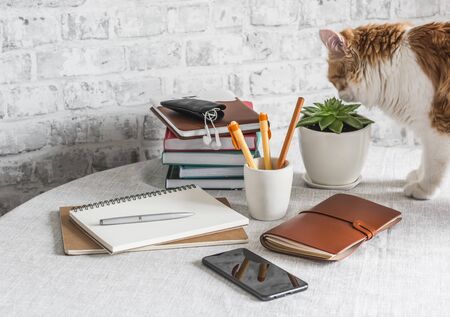 Cozy home table with textbooks, books, notebooks and a curious red kitten. Online training conceptの写真素材