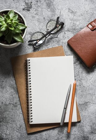 Business concept background. Notebooks, organizer, glasses, pens, pencils and succulent flower on grey background, top viewの写真素材