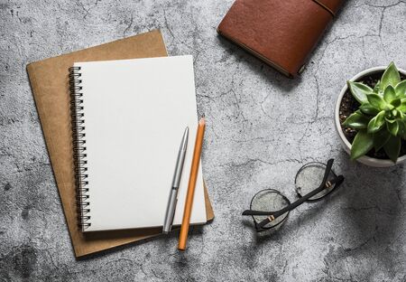 Business and education concept background. Notebooks, personal organizer, eyeglasses, pen and succulent flower on grey background, top viewの写真素材