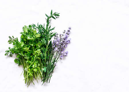 Aromatic garden herbs - tarragon, lavender, cilantro, dill on a light background, top view. Cooking food spices ingredientsの写真素材