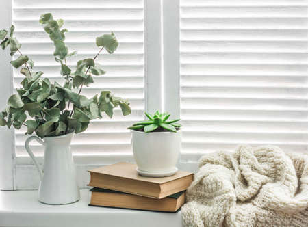 Cozy rustic home still life. On the bright window jug of dry branches, knitted blanket, books and succulent flower. Concept of a cozy homeの写真素材