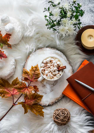Hot chocolate with marshmallows and autumn composition on the fluffy carpet
