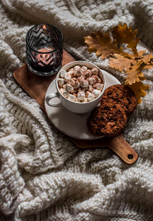 Pumpkin spices hot chocolate with marshmallows and cookies with chocolate drops on a knitted blanket. Autumn still lifeの写真素材
