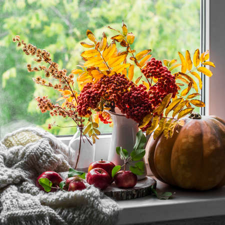 Autumn still life on the window - a bouquet of mountain ash, pumpkin, apples and a knitted blanket. Cozy house interiorの写真素材