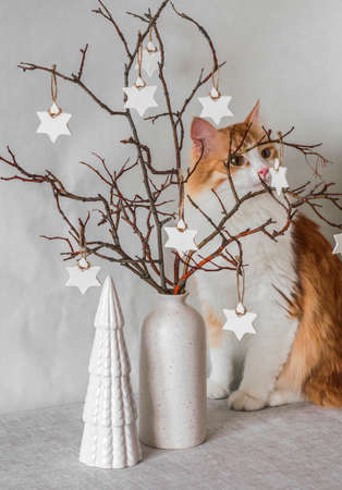 Ginger cat, a vase with christmas stars decorating branches and a ceramic christmas tree on the table. Cozy home interiorの写真素材