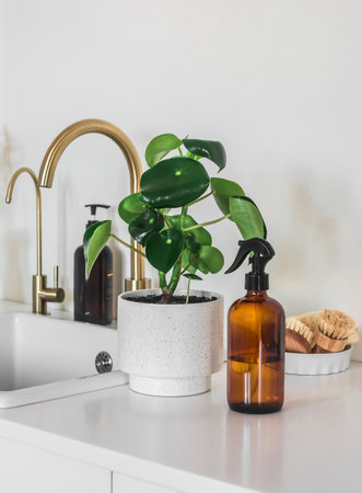 Care of home flowers. Pilea flower in ceramic pot and water dispenser on kitchen tableの写真素材
