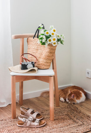 A straw bag with a bouquet of daisies, a camera on a wooden chair, sandals and a cat sleeping in the corner in the hallway interiorの写真素材