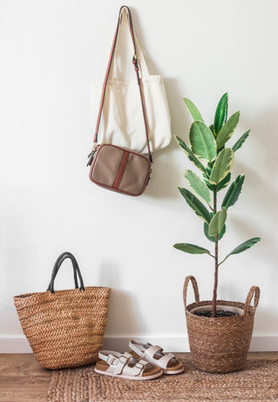 Hallway interior - ficus in a wicker basket, bags, shoes. Scandinavian style houseの写真素材
