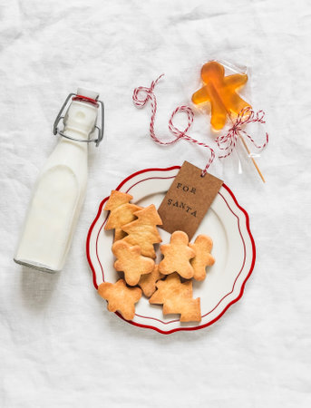 A gift for Santa is a bottle of milk and cookies on a light background, top view