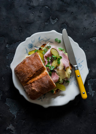Delicious breakfast, lunch, snack, snack, tapas - ciabata sandwich with ham, gherkins, iceberg lettuce and mayonnaise-mustard sauce on a dark background, top viewの写真素材