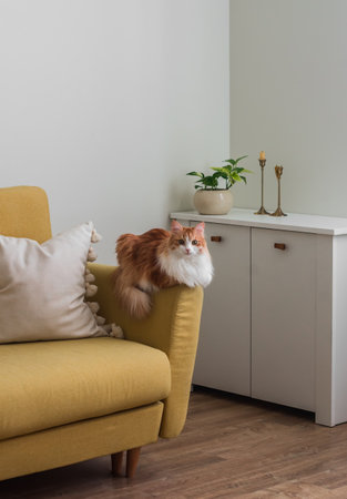 The simple, cozy interior of the living room - yellow sofa, a white chest of drawers with decor and a red catの写真素材