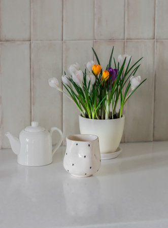 Fresh crocuses in a ceramic pot, a cup, a teapot - morning moodの写真素材