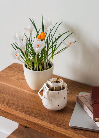 Coffee drip, crocuses in a pot, laptop, notebook on a wooden tableの写真素材