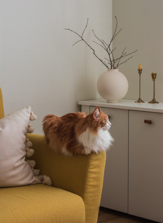 The cozy interior of the living room - white wooden chest of drawers, a round ceramic vase with dry branches, a red cat on a yellow armchairの写真素材