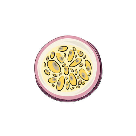 Vector set of passion fruit, passionfruit, maracuya purple colors. Cut pieces on a white background.のイラスト素材