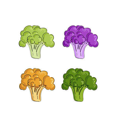 Cauliflower and broccoli cabbage drawn cartoon. White background. Hand drawn doodles. Vegetables, healthy natural products. Vegan salad. Set of illustrations. Prepare food for restaurants and menu.のイラスト素材