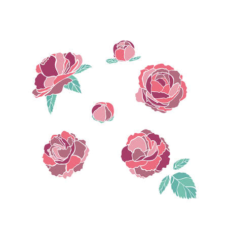 Flower peony set drawn in sketch style on pink background. Vector art illustration. Bouquet element. Elegant decoration. Boho set. Nature art.のイラスト素材