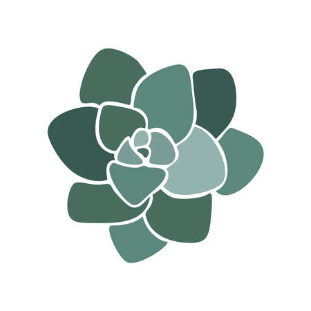 Beautiful collection with green succulent cactus hand drawn top view for decoration design. Vector template. Isolated illustration.のイラスト素材