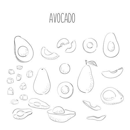 Vector set of hand drawn outline black avocado. Food hand drawn vector illustration. Design for packaging, weddings, fabrics, textiles, wallpaper, website, postcards.のイラスト素材
