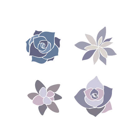 Beautiful set collection with green and lilac succulent cactus hand drawn top view for decoration design. Vector template. Isolated illustrationのイラスト素材