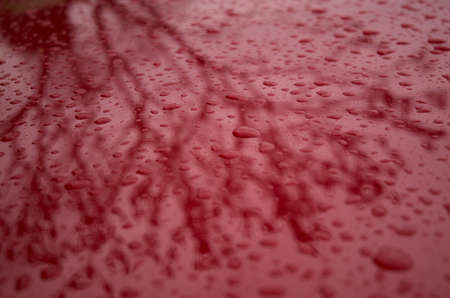 Rain drops on a red backgroundの写真素材