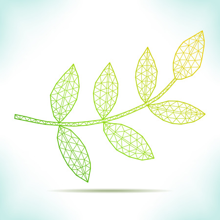Geometric leaf. For invitation, catalog, flyer or other.のイラスト素材