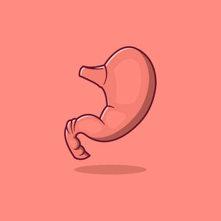 Stomach cartoon style icon illustration. Medical icon concept isolated vector. Anatomy concept.のイラスト素材