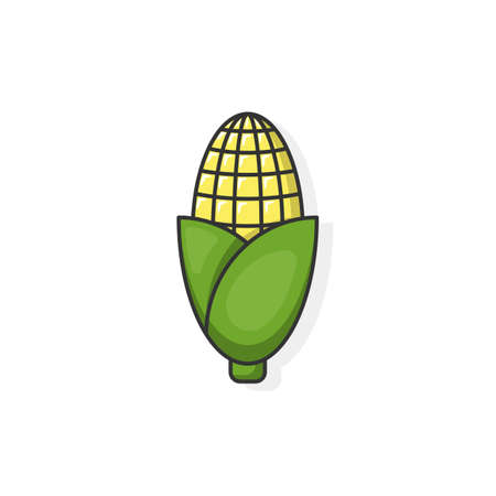 Cartoon icon of corn. Yummy fruit and peel of corn. Staple food, carb and whole fruit with leaf. Food icon concept isolated vector illustration.のイラスト素材