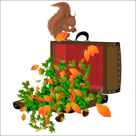 Squirrelのイラスト素材