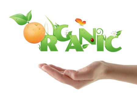 Hand holding word  Organic  ecological design, with floral elements and an orange instead of letter  O   isolated の写真素材