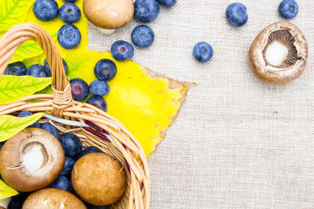Blueberries and mushrooms in wicker basket on sack cloth の写真素材