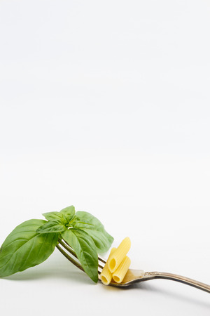 Basil leaves on fork, isolated on white backgroundの写真素材