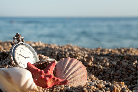 Pocket watch with tarfish and shells on the sand by the sea background.の写真素材