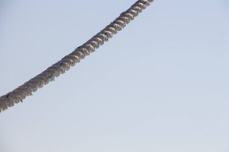 Old rope on blue sky background