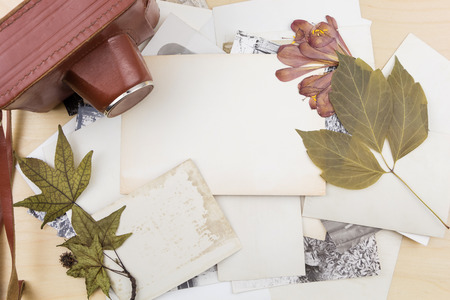 Old camera on stack of photos with dry plants, on wooden surface.の写真素材