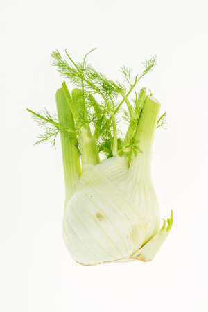 Fresh fennel, isolated on white backgroundの写真素材